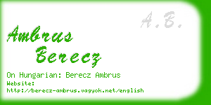 ambrus berecz business card